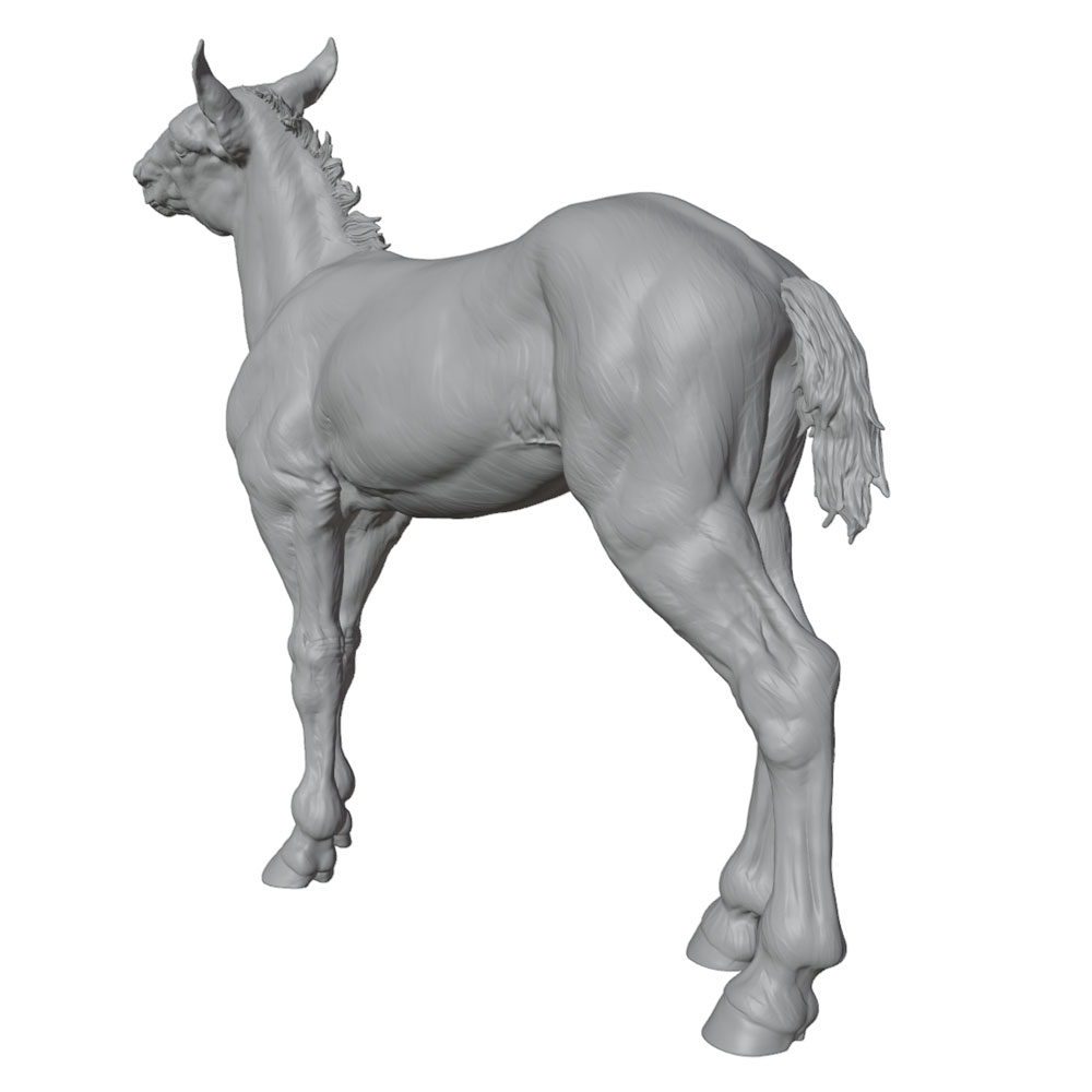 Hochdetaillierter Druck, reali – 3D Printing Nyc Bewertung und Preis