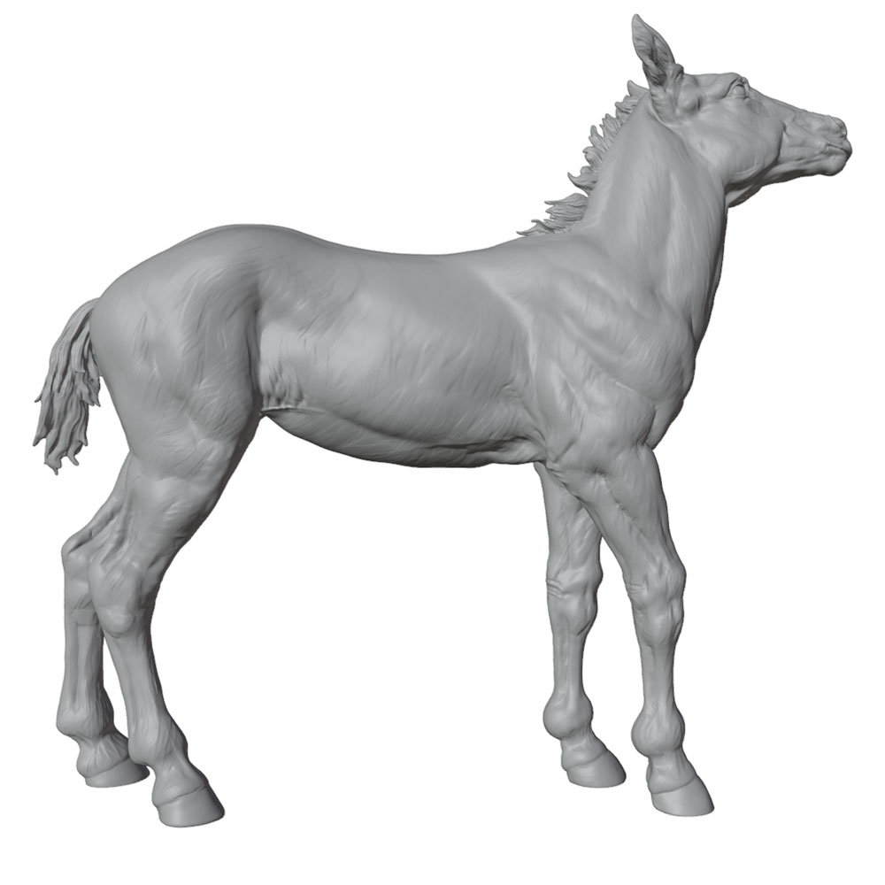 Hochdetaillierter Druck, reali – 3D Printing Nyc Bewertung und Preis