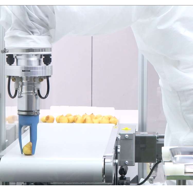 6-Achsen CNC-Roboterarm mit Li – Linear Guide Rail Bewertung und Preis